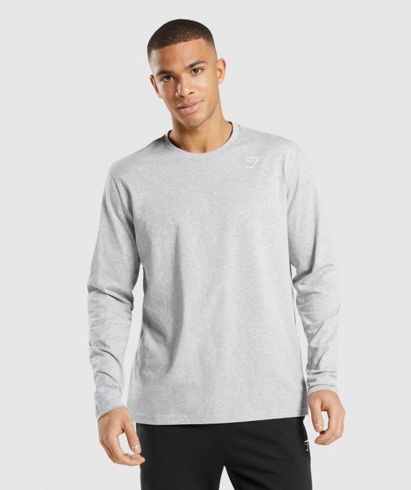 Panske Mikiny Gymshark Crest Long Sleeve Svetlo Siva | KP5198204